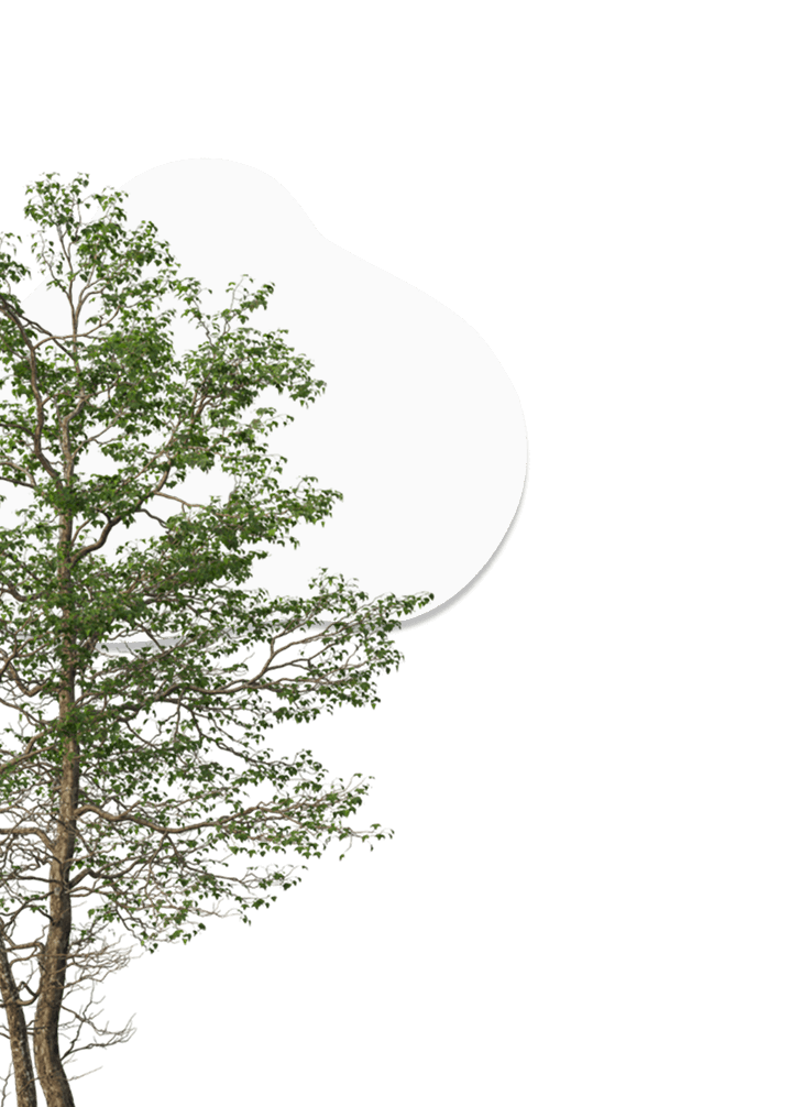 Tree Left