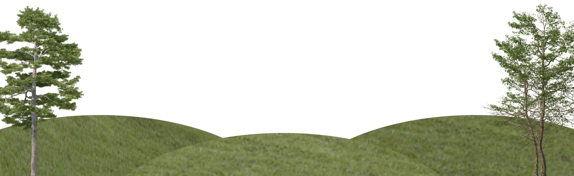 Bottom Decoration