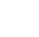 x-icon